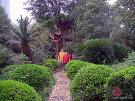 Vaya International Hotels