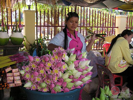 Blumenshop Siem Reap