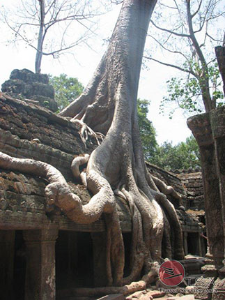 Ta Prohm
