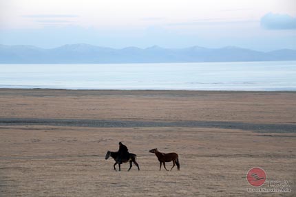 Pferde am Son-Kul-See Pferde Son Kul